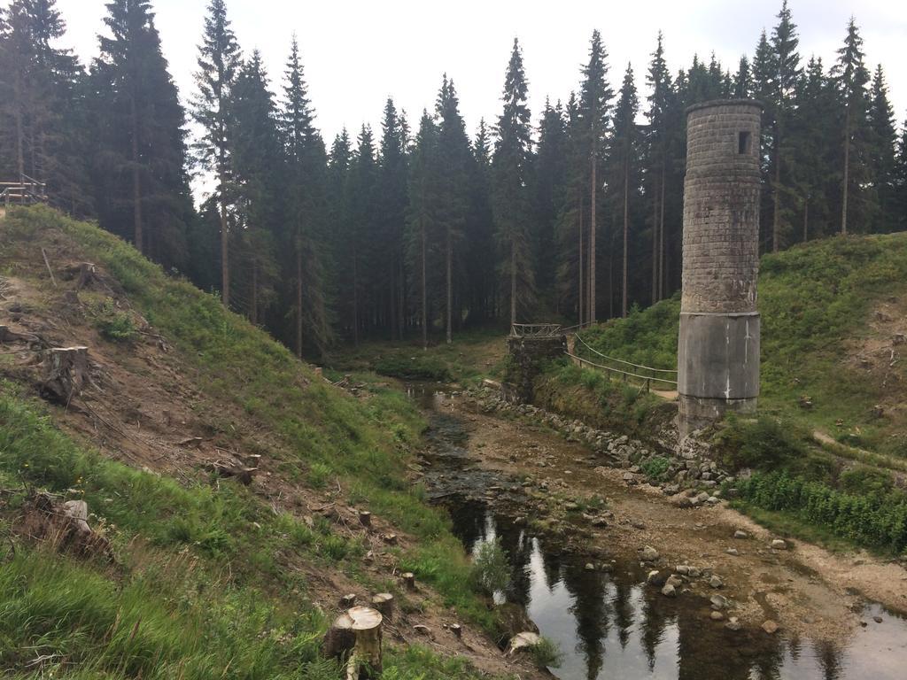 penzion Podlesí Kořenov Exterior foto